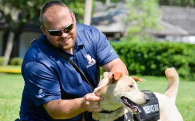 Veterans with service dogs may have fewer PTSD symptoms, higher quality of life